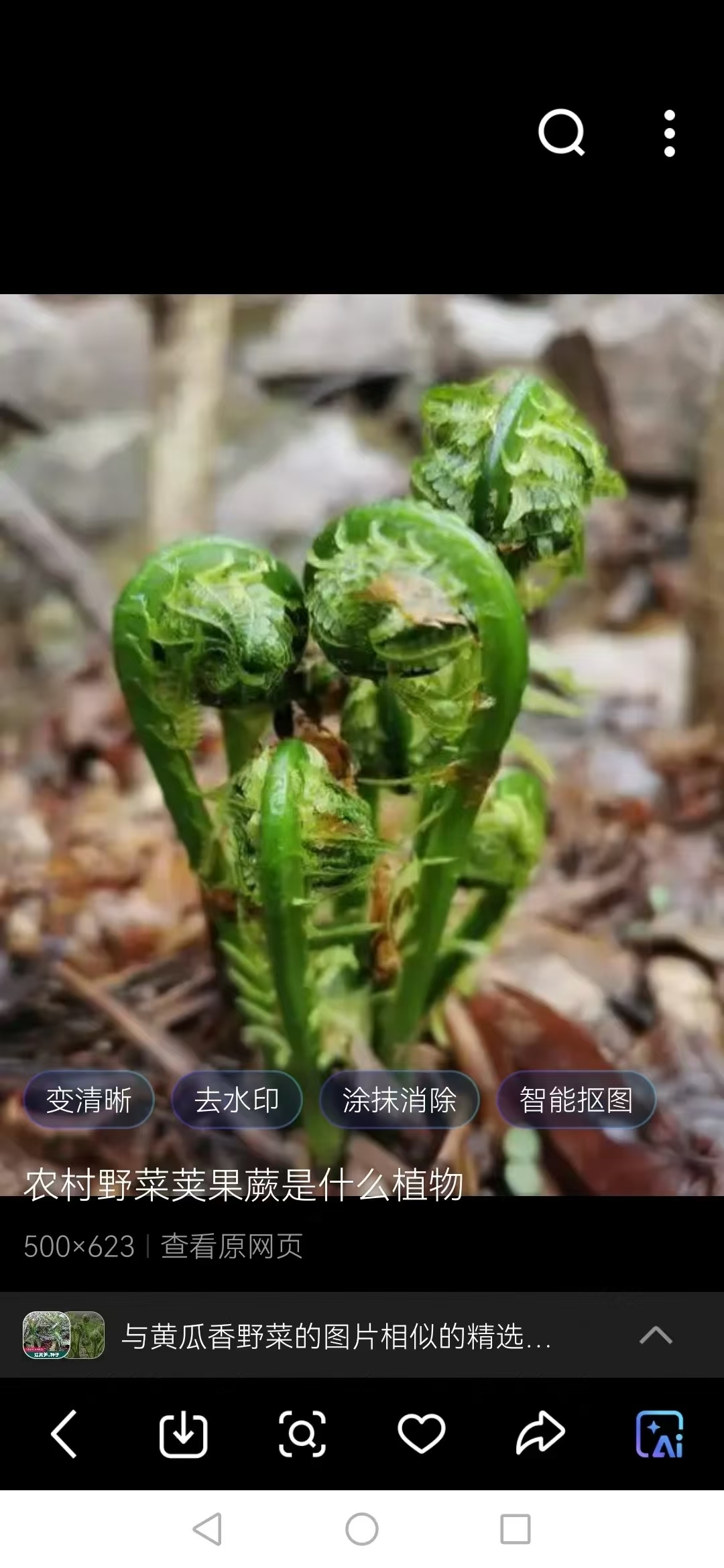 心琪烧烤大棑档现在正常营业，本店新增鹿肉串